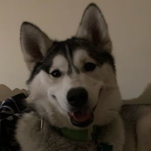 Meet your Posher, Justin